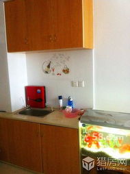 五一公馆 精致小户型办公租房，繁华地段的高性价比之选